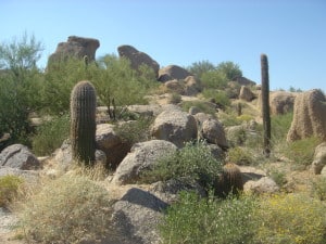 Troon Scottsdale Lot for Sale