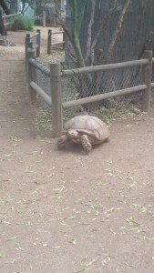 Southwest Wildlife Conservation Center Scottsdale