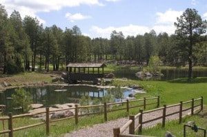 Covered Bridge and Pond At Forest Highlands, Flagstaff, Arizona