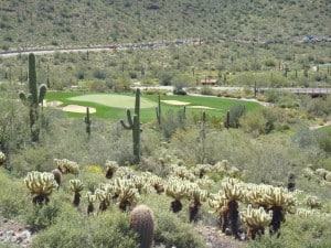 Stunning Views at DC Ranch's Silverleaf Community in Scottsdale AZ