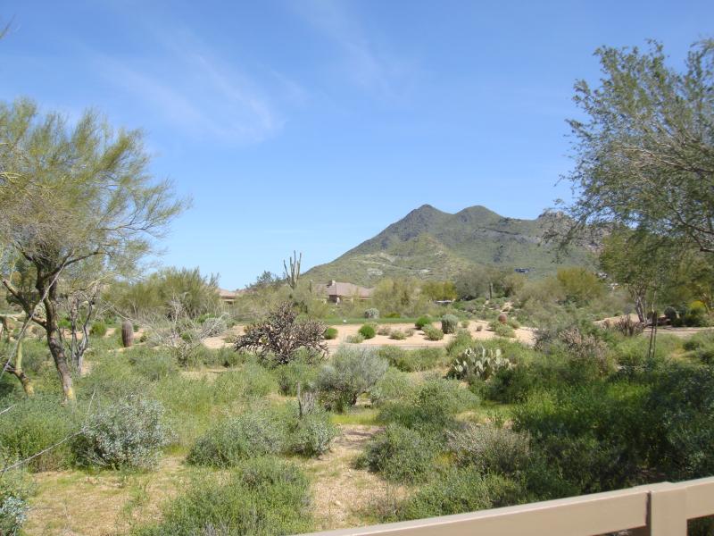 Terravita Scottsdale Real Estate