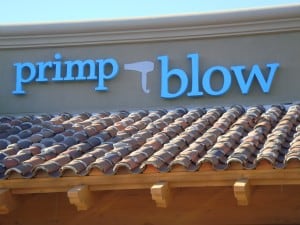 Primp and Blow Hair Blow Dry Bar Scottsdale AZ Grayhawl
