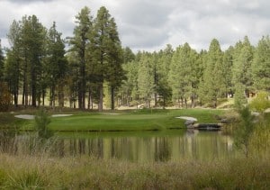 Forest Highlands Flagstaff Canyon Golf Course Homes