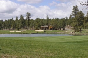 Flagstaff Golf Communities - Forest Highlands