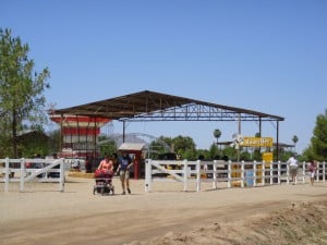 The "Back 40" amusement park at Schepf Farms Peach Festival