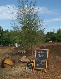 Singh Farms Scottsdale AZ Farmers Market