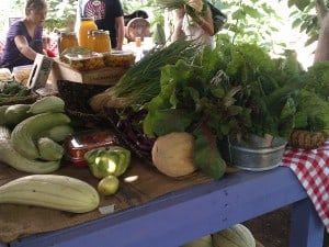 Signh Farms Farmers Market Fresh Produce Scottsdale AZ