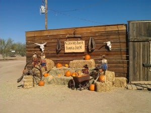 Pumpkin Patch Festival Scottsdale AZ