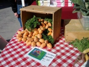 Scottsdale Farmers Market Organic Vegetables