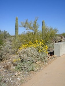 Scottsdale AZ Outdoor Living