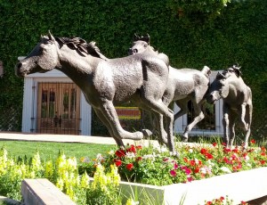 Bronze horses Old Town Scottsdale