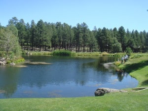 Forest Highlands Flagstaff AZ