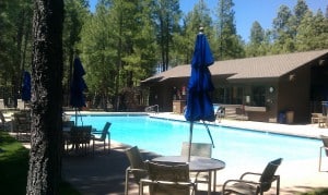 Meadow Clubhouse Pool Forest Highlands