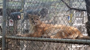 Southwest Wildlife Conservation Center