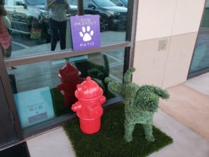 PNPK Dog Friendly Scottsdale