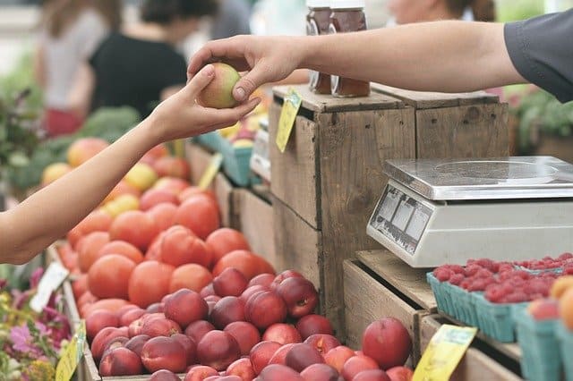 Top Farms in Phoenix photo