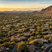 Featured image for Golf Community Updates: What's New in North Scottsdale?